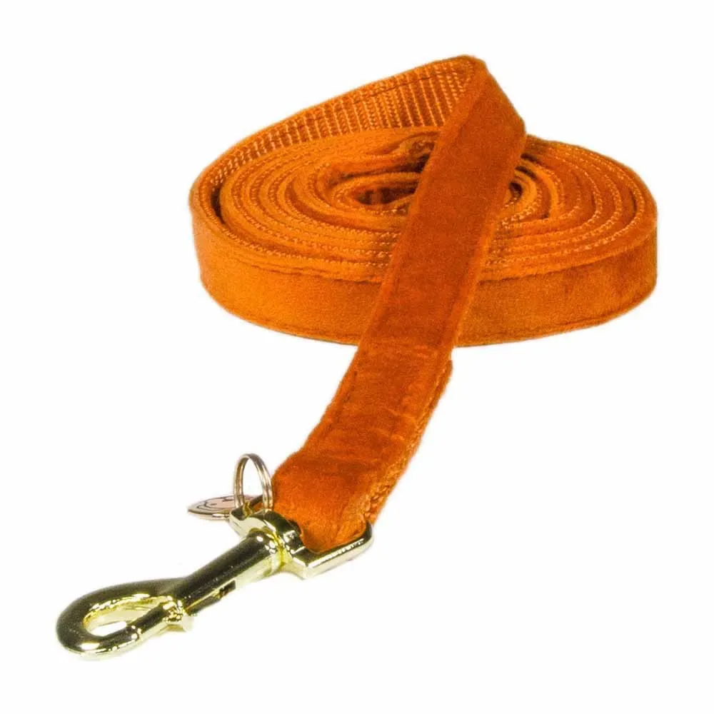 Velvet Hondenriem 15 Mm van Kentucky Horsewear – productfoto
