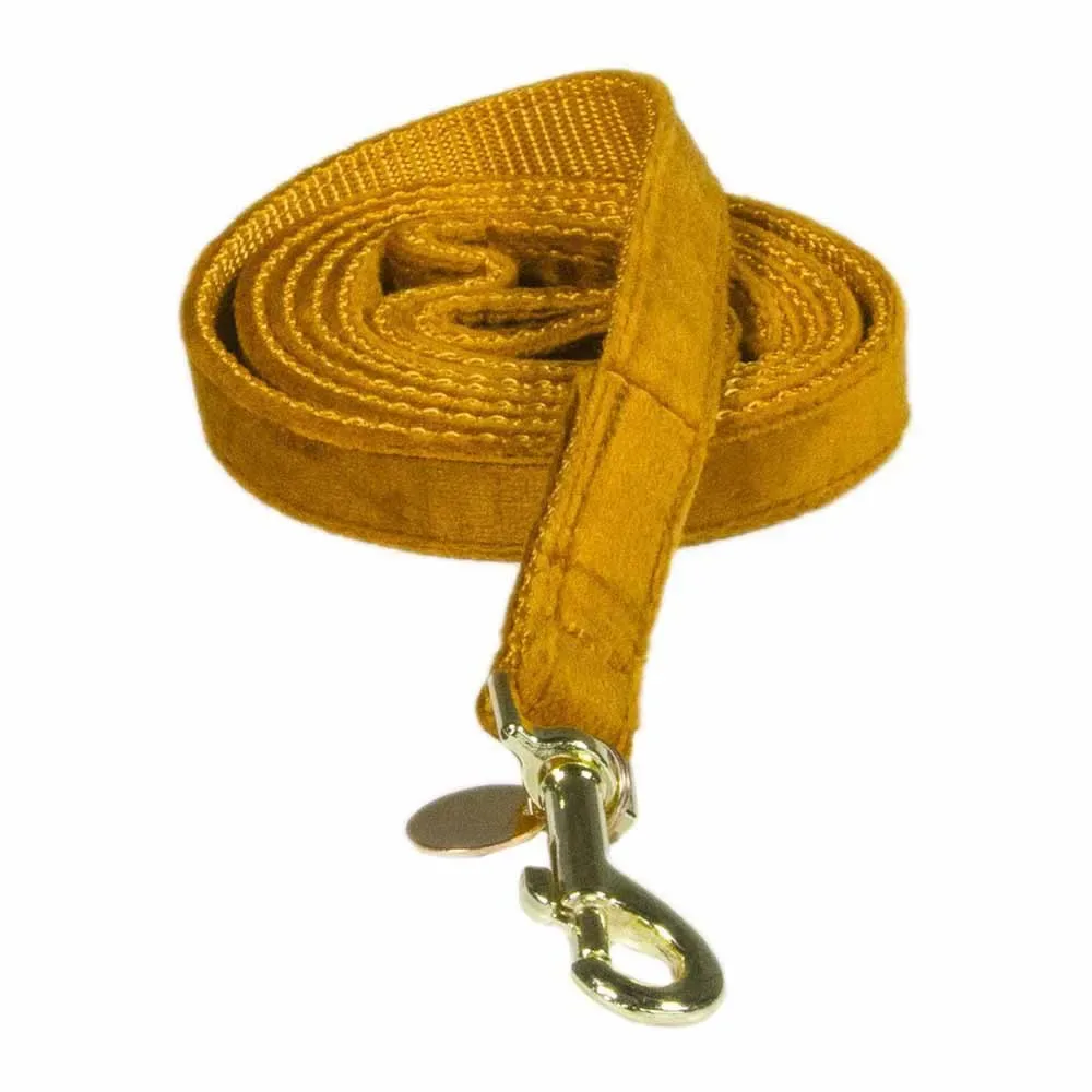 Velvet Hondenriem 15 Mm van Kentucky Horsewear – productfoto