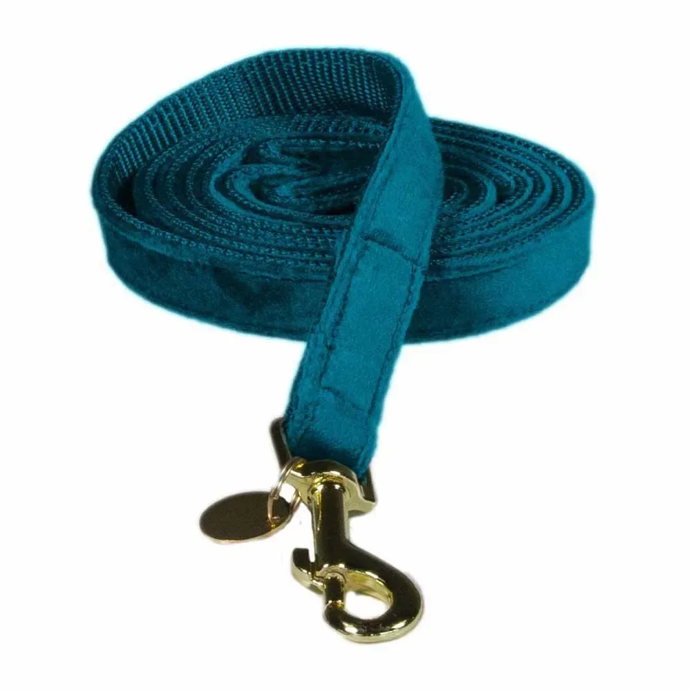 Velvet Hondenriem 15 Mm van Kentucky Horsewear – productfoto