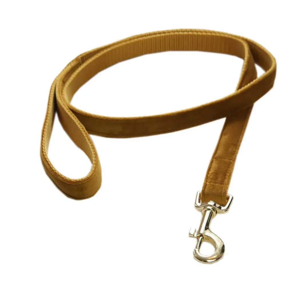 Velvet Hondenriem 20 Mm fra Kentucky Horsewear – produktbillede