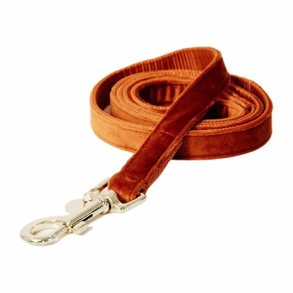 Velvet Hondenriem 20 Mm fra Kentucky Horsewear – produktbillede