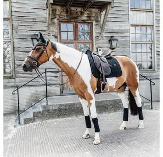 Velvet Zadeldoek - Zadeldekje - Dressuur - Pearls by Kentucky Horsewear in Black – product photo 5 of 5
