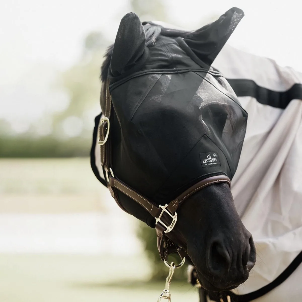 Vliegenmasker - Classic met oren - Zwart - Vliegenmasker Full de Kentucky Horsewear – photo produit