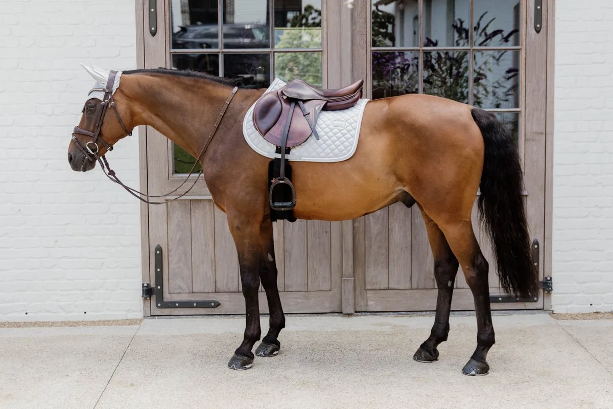 Zadeldoek diamond rope jumping de Kentucky Horsewear en Gris – photo produit