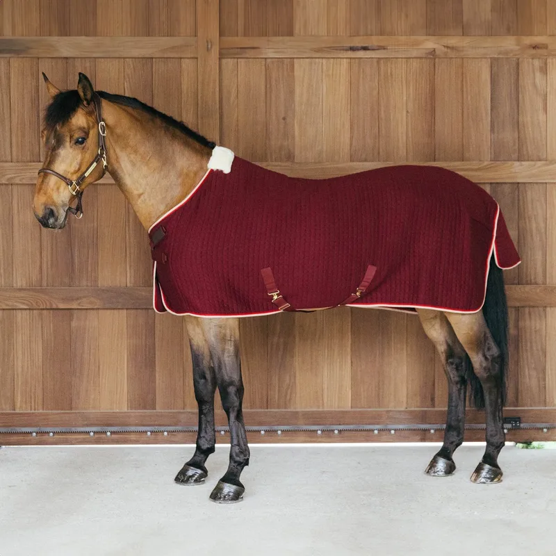 Zweetdeken PROTherm bordeaux 140-6'3 de Kentucky Horsewear – photo produit