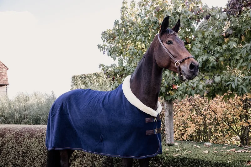 Zweetdeken show fleece 'heavy' navy 80-4'0 de Kentucky Horsewear en Marineblauw – photo produit