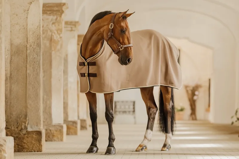 Zweetdeken show vegan wool 130-6'0 von Kentucky Horsewear in Beige – Produktfoto