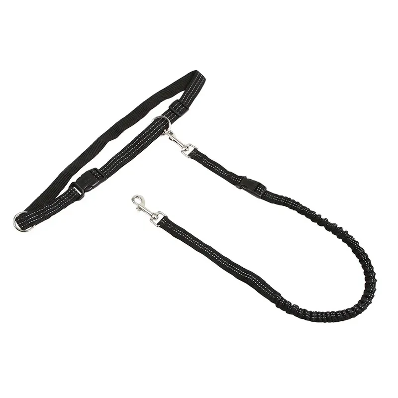 Active Hondenriem by Kerbl – product photo