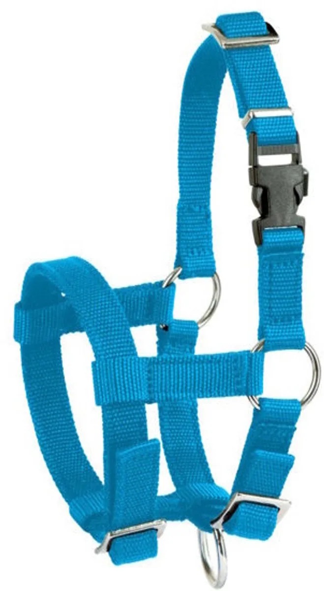 Alpaca Halster von Kerbl in Blau – Produktfoto