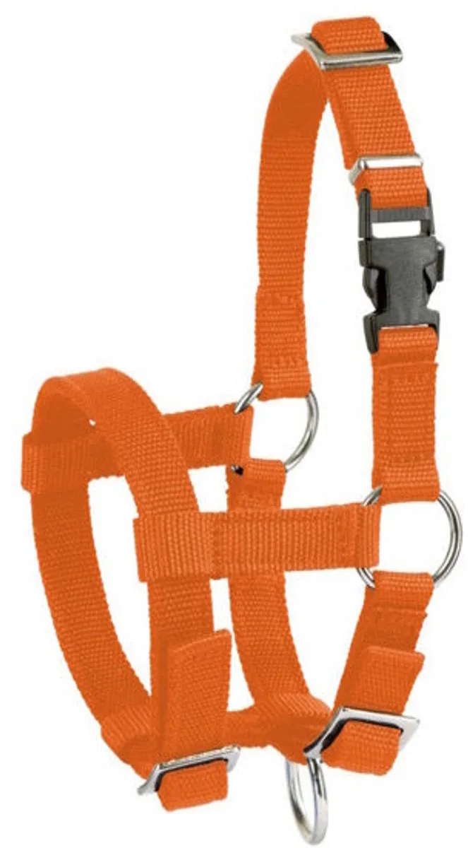 Alpaca Halster by Kerbl in Orange – product photo