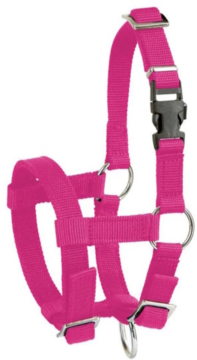 Alpaca Halster by Kerbl in Pink – product photo