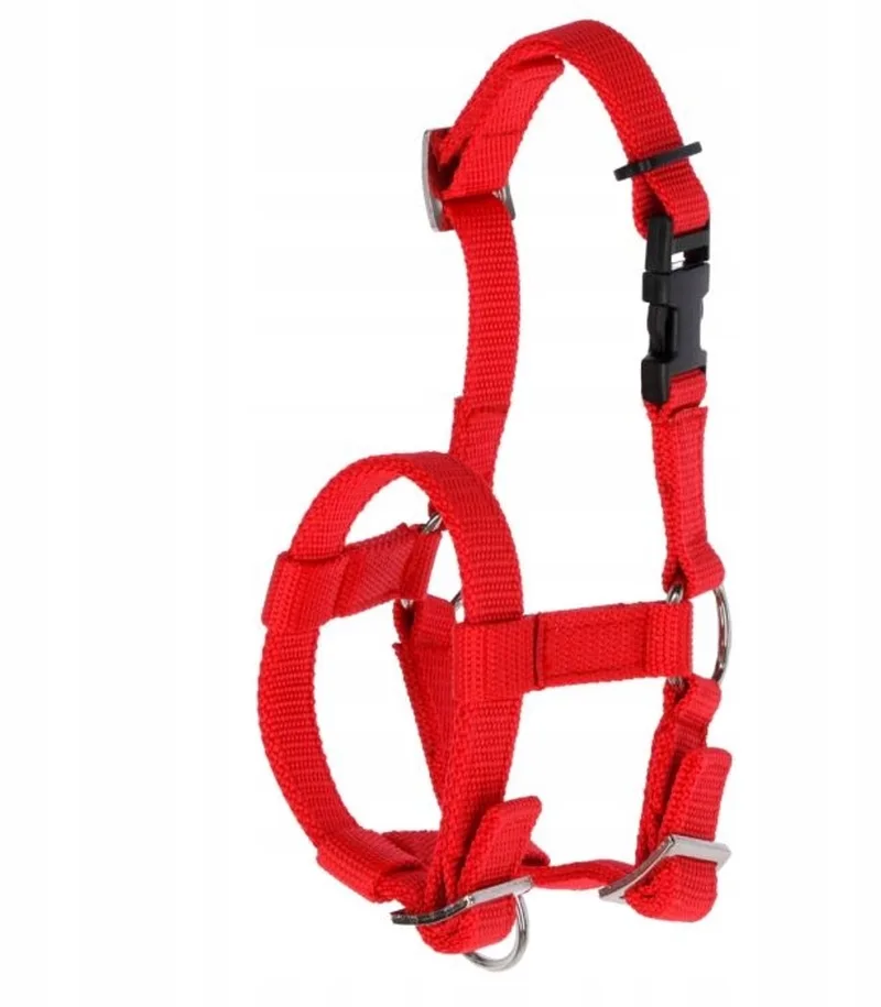 Alpaca Halster Verstelbaar by Kerbl in Red – product photo