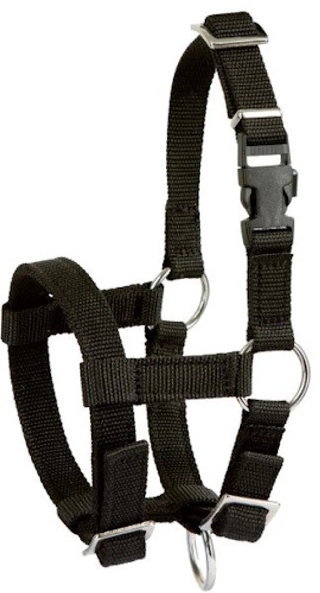 Alpaca Halster by Kerbl in Black – product photo