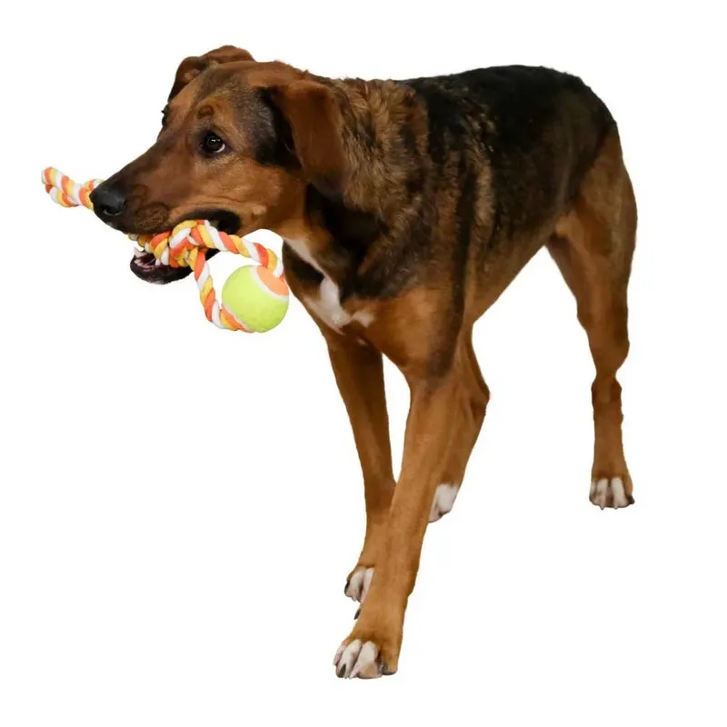 Bal aan touw 37 cm, Katoen - Hondenspeelgoed by Kerbl in Orange – product photo 2 of 2