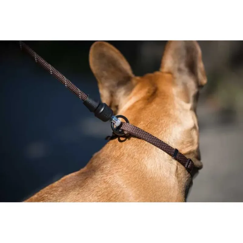 Goleygo Hondenriem de Kerbl – photo produit 2 sur 2