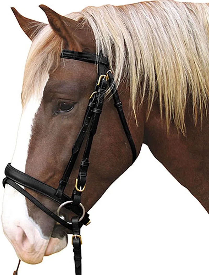 Hoofdstel Koudbloed by Kerbl in Black – product photo