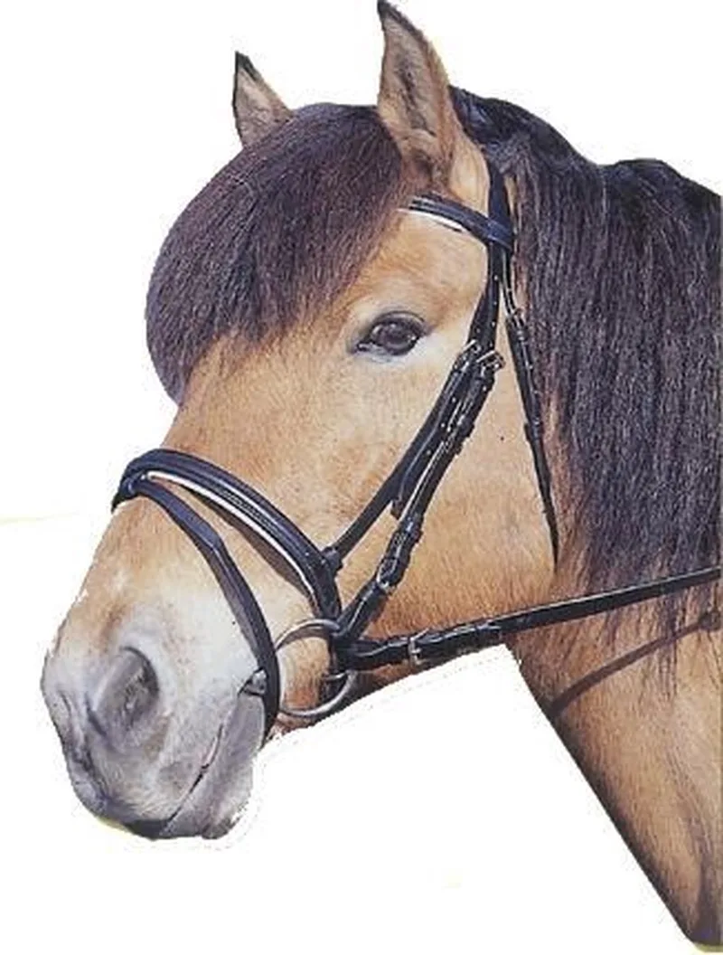Hoofdstel Standaard Cob by Kerbl in Brown – product photo