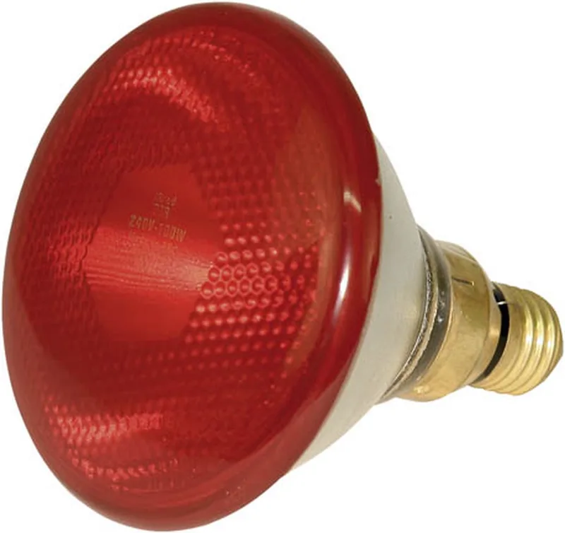 Infrarood warmtelamp E27 | 100W | 150W | 250W voor opfok en warmtezones 100W de Kerbl en Rouge – photo produit
