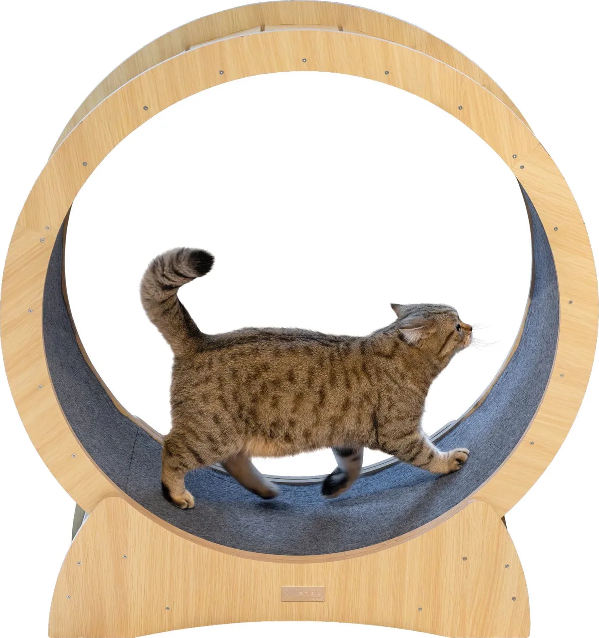 Katzenlaufrad - 1 Stk by Kerbl – product photo