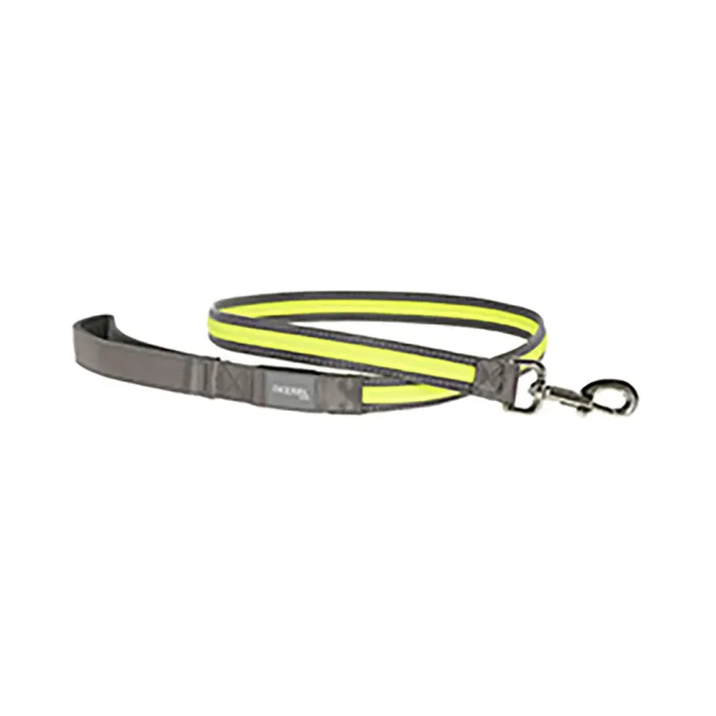 Luminous Hondenriem by Kerbl – product photo