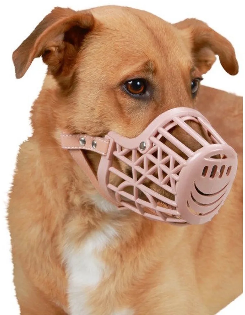 Muilkorf hond kunststof Maat 7 by Kerbl in Beige – product photo