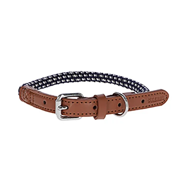Phoenix Hondenhalsband