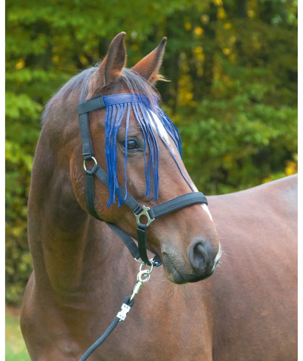 Vliegenfrontriem Paard Nylon Marine Pony de Kerbl – photo produit