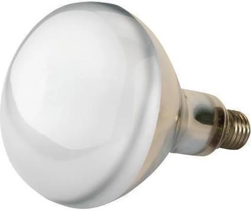 Witte infrarood warmtelamp 150 Watt E27 voor kuikens en jonge dieren by Kerbl in Red – product photo