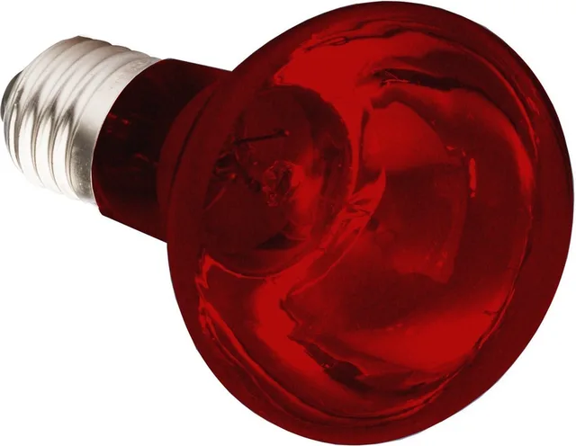 Infrarood Warmtelamp - ES 75 Watt