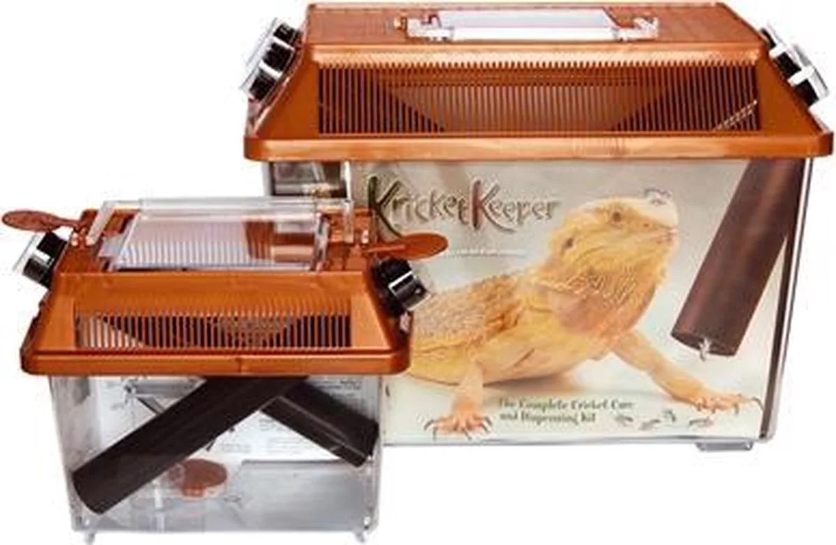 Krekelbak small fra Komodo i Gennemsigtig – produktbillede