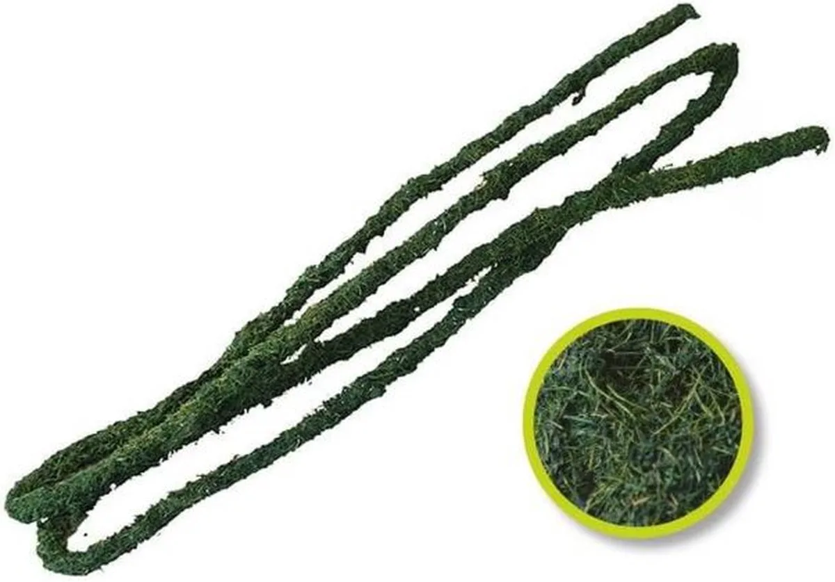Natural Tropical Vine - Lge (1.8mx20mm) fra Komodo i Grøn – produktbillede