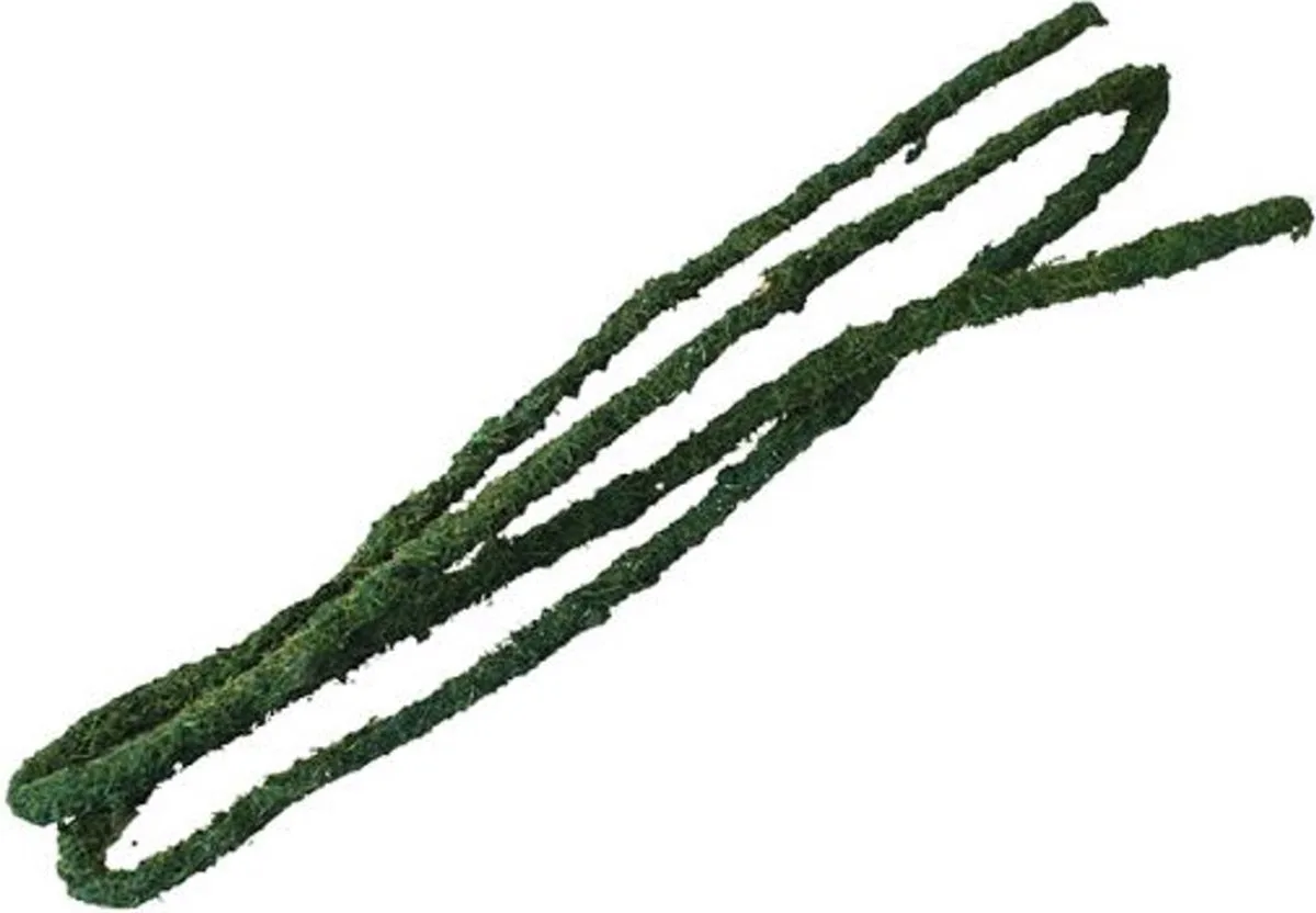 Natural Tropical Vine - Sml (1.8mx5mm) fra Komodo i Grøn – produktbillede