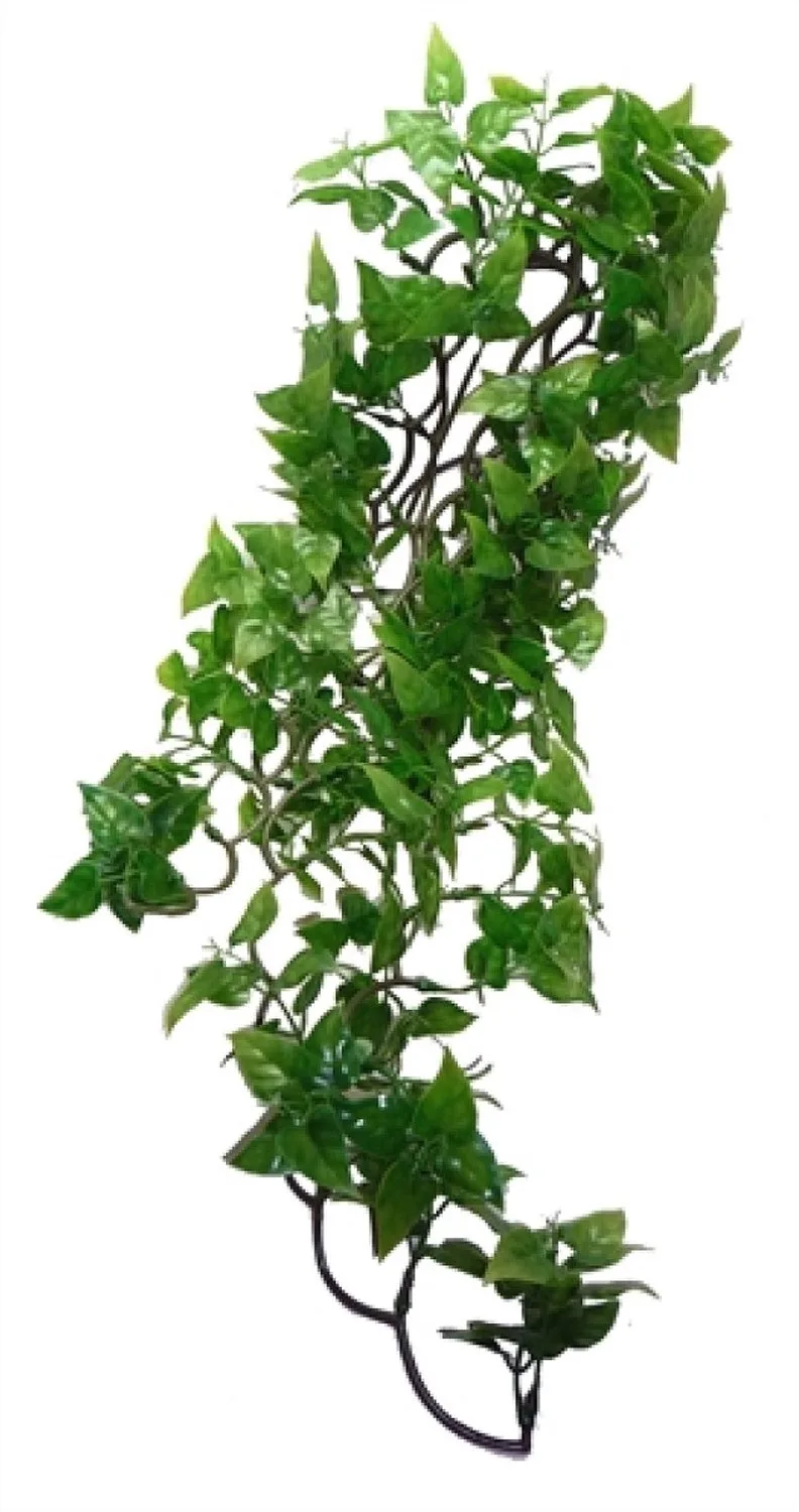 Philodendron Plant - 60 cm fra Komodo i Grøn – produktbillede