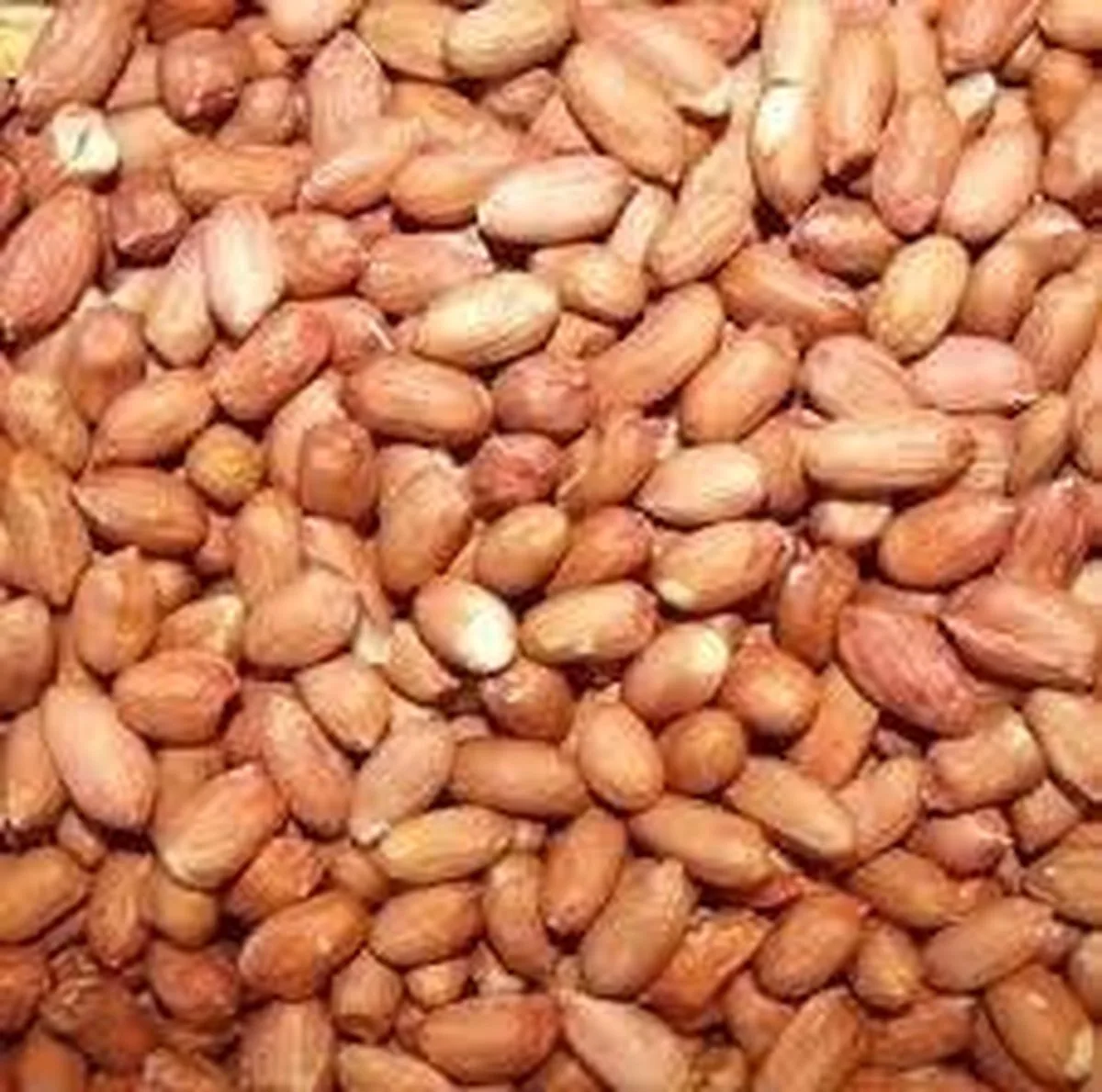 Emmer gepelde pinda's 2,5 kg by Konacorn – product photo