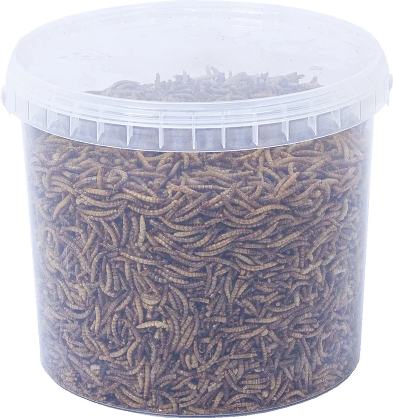 Meelwormen - Emmer 5L - Tuinvogelvoer by Konacorn – product photo