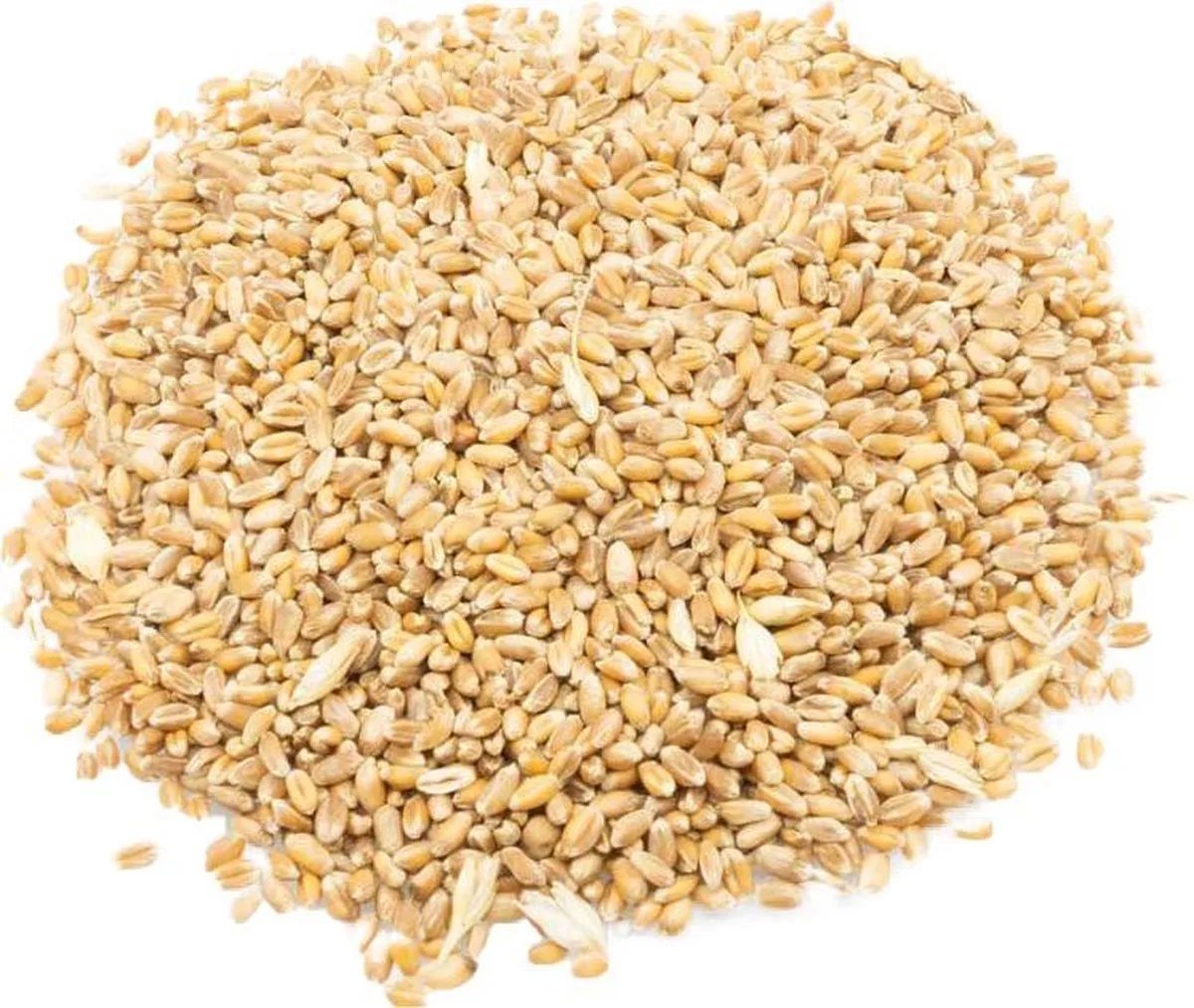 Tarwe | 18 kg Pluimveevoer van Konacorn – productfoto