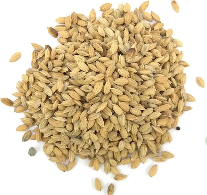 Vogelvoer 15 kg | Konacorn Paddy Rijst by Konacorn – product photo