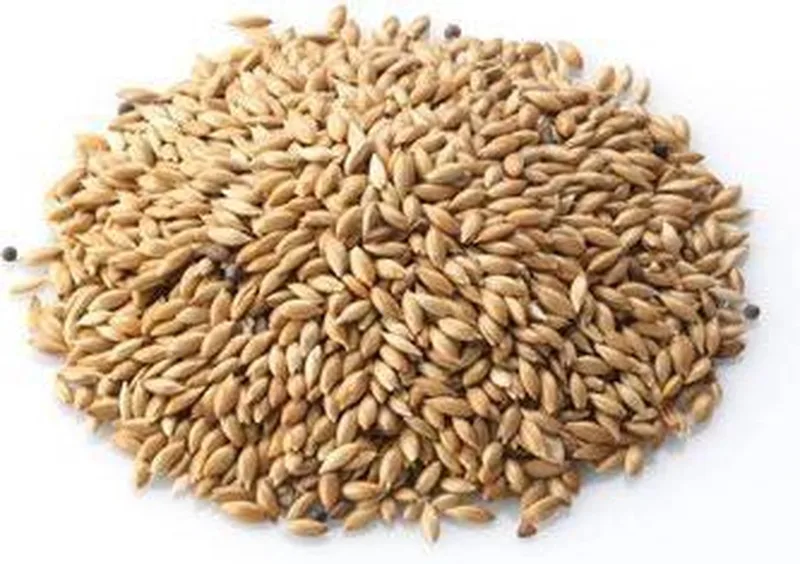 Vogelvoer 18 kg | Konacorn Kanariezaad by Konacorn – product photo