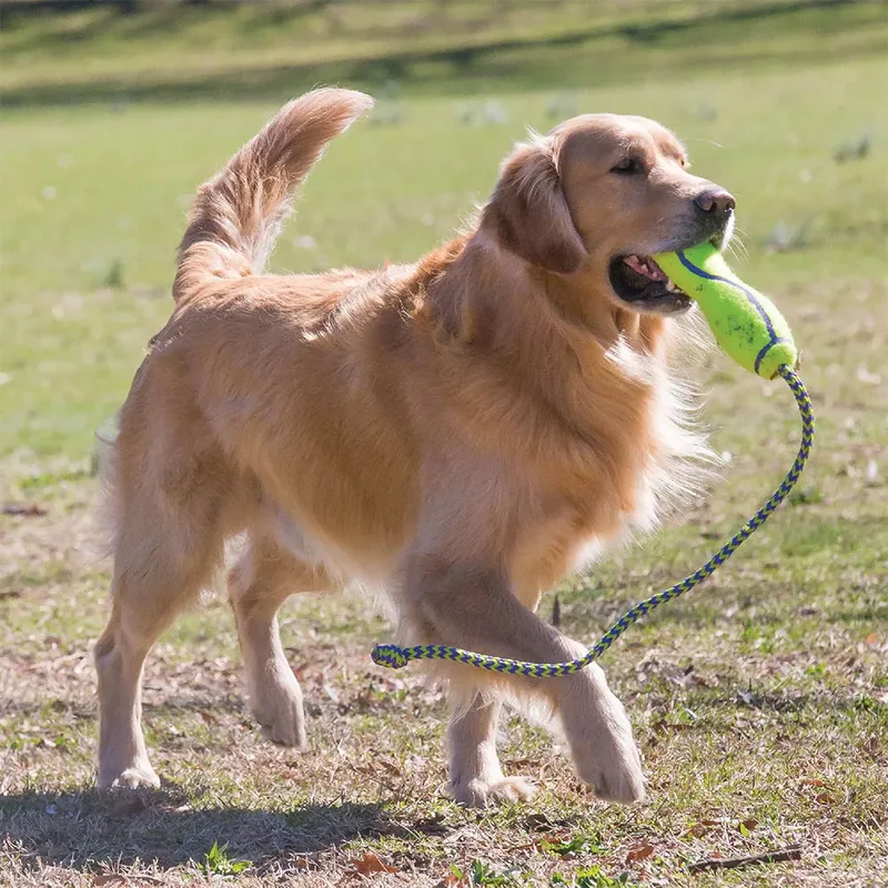 Air Fetch – Stok – Hondenspeeltjes – L – Drijvend – Groen by KONG in Yellow – product photo 2 of 2