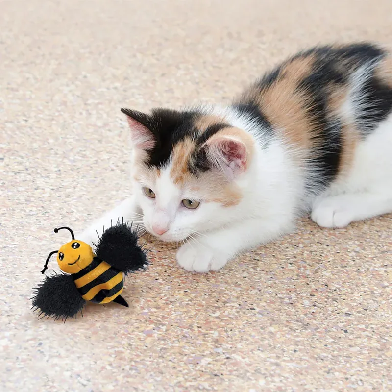 cat better buzz bij - kattenspeeltjes van KONG in Zwart, Geel – productfoto 3 van 3