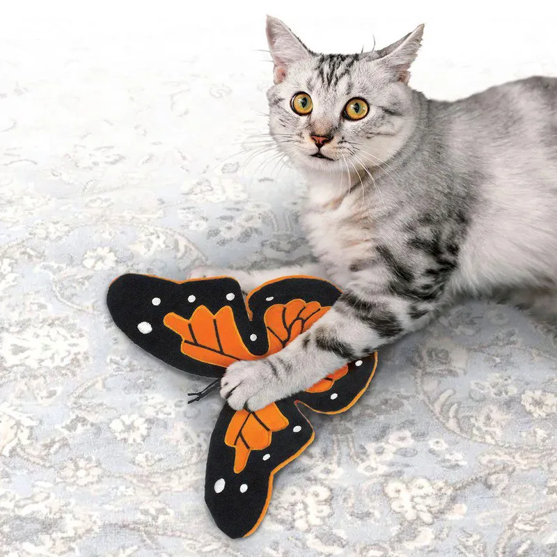 Crackles Flutterz 1 Kattenspeeltje van KONG – productfoto 3 van 3