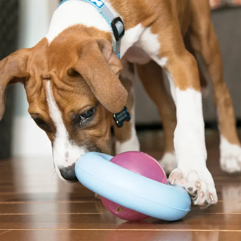 Gyro Puppy Speelgoed by KONG – product photo 4 of 4