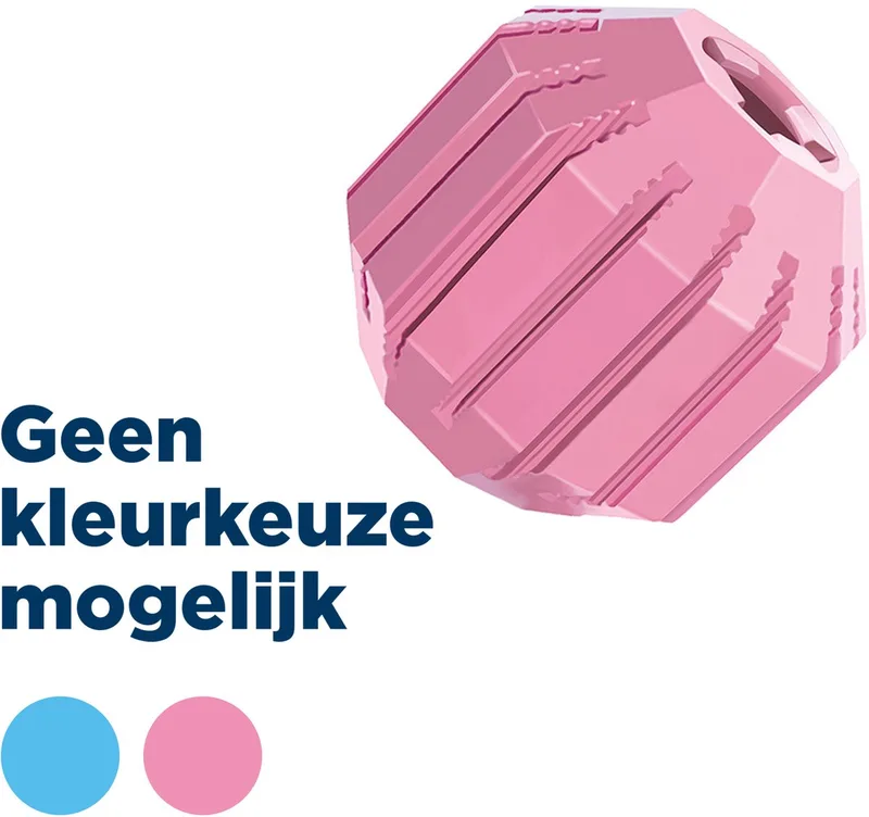 Speelgoed Voor Dieren - Hond by KONG in Gemengde Kleuren – product photo