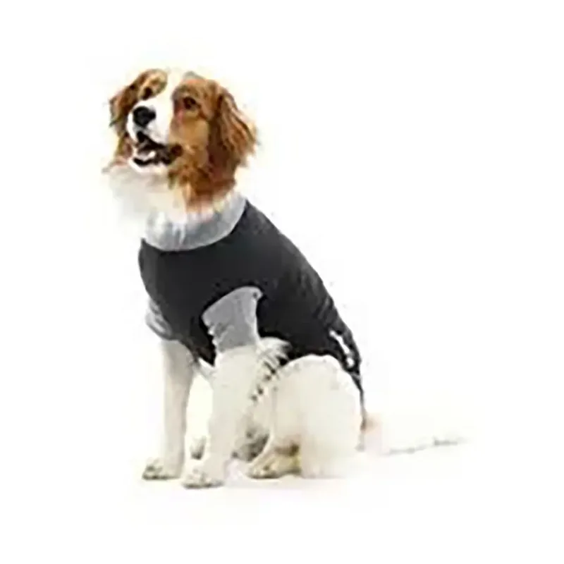 Buster Bodyprotector Voor Voorpoten von Kruuse – Produktfoto