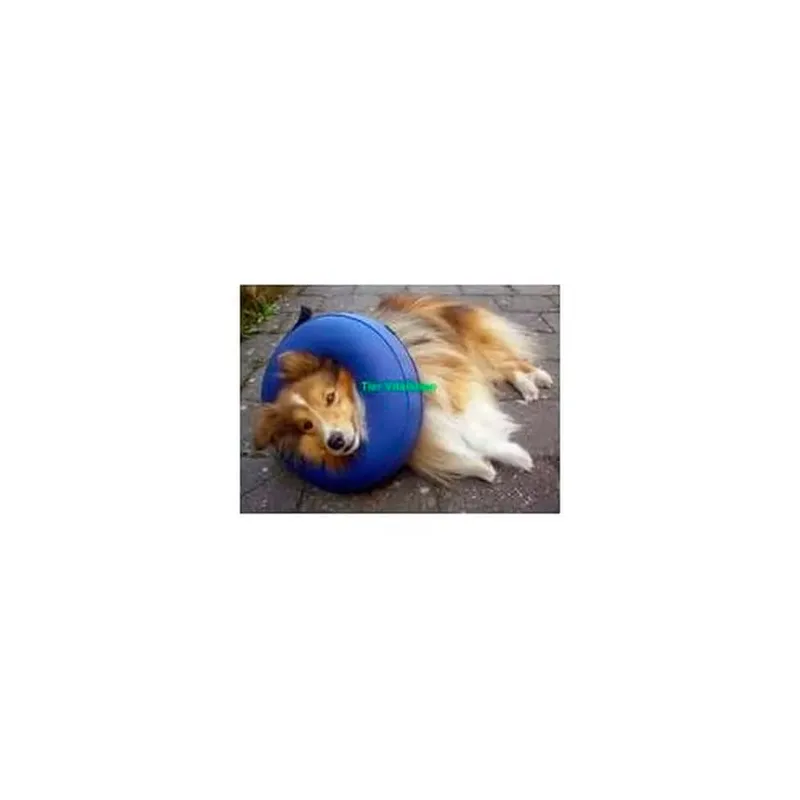 Pvc Buster Dog Inflatable Hondenhalsband by Kruuse – product photo