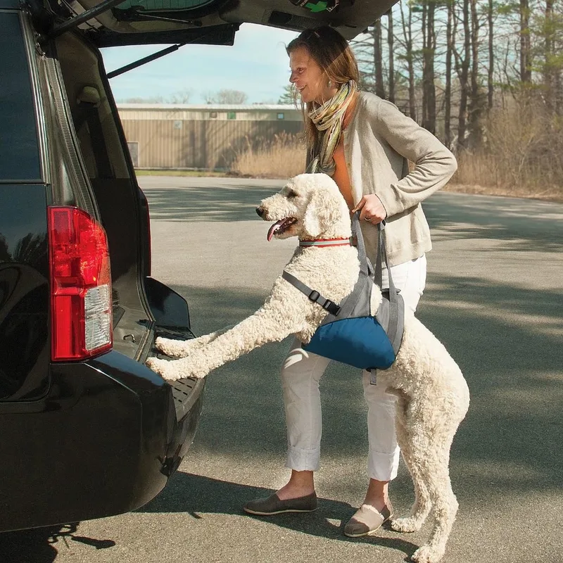 Up & About Lifter - Harnas om de hond makkelijk op te tillen - Alternatief voor de hondenloopplank - Voor honden tot 41 kg de Kurgo en Gris – photo produit