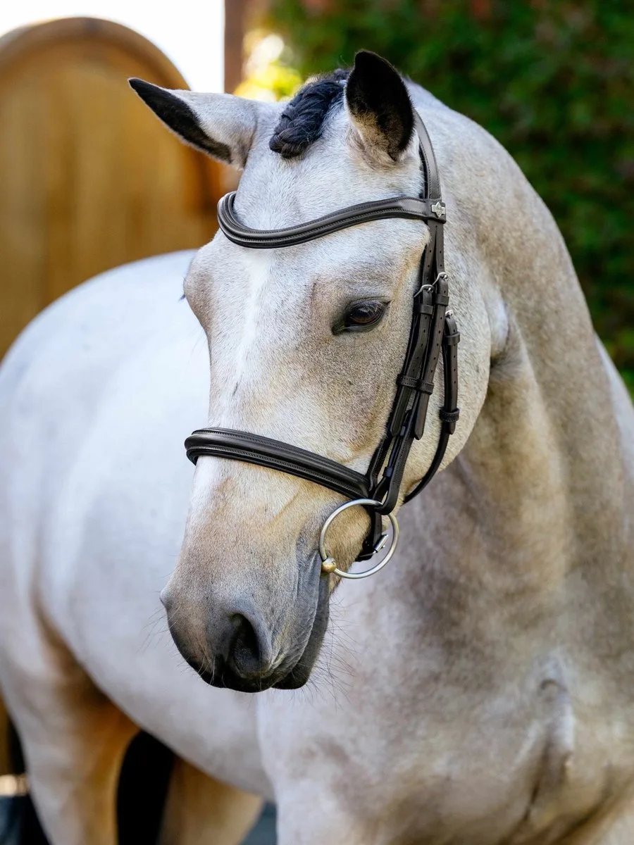 Arika Cavesson Hoofdstel Full by LeMieux in Brown, Silver – product photo