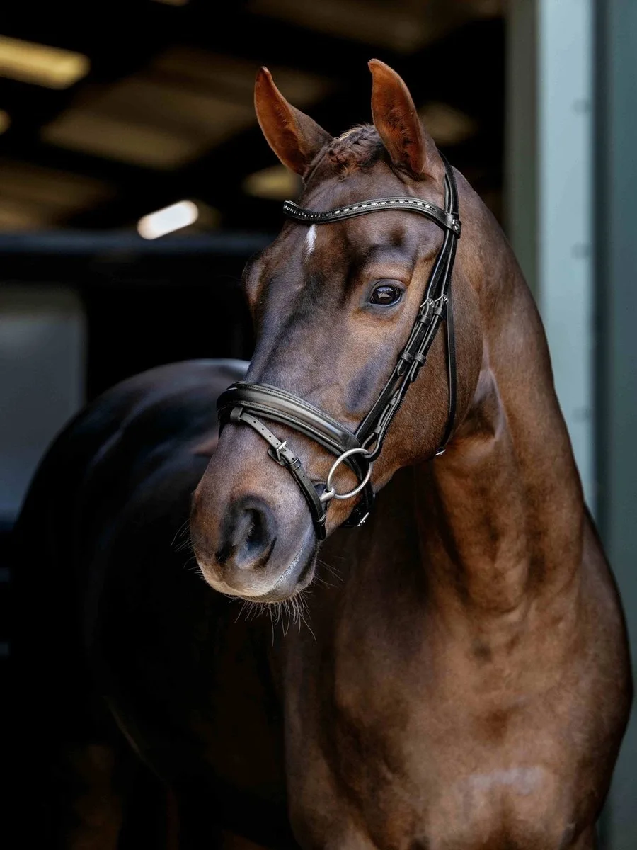 Arika Dressage Hoofdstel Full by LeMieux in Black, Silver – product photo