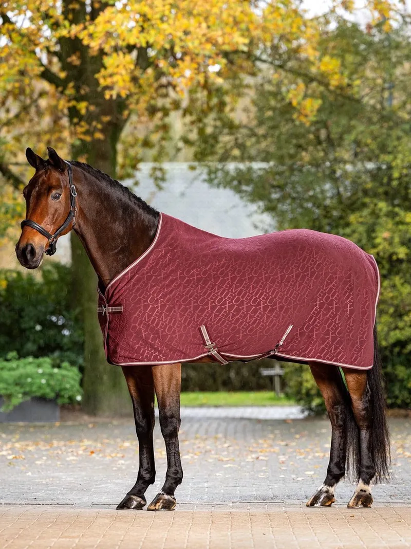 Arika Monogram Fleece Paardendeken 205 by LeMieux in Dark blue – product photo