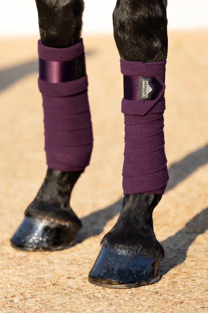 Bandages Loire Polo - paard de LeMieux en Violet – photo produit